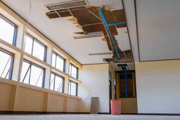 Water damage restoration insurance claims in Aristocrat Ranchettes, CO