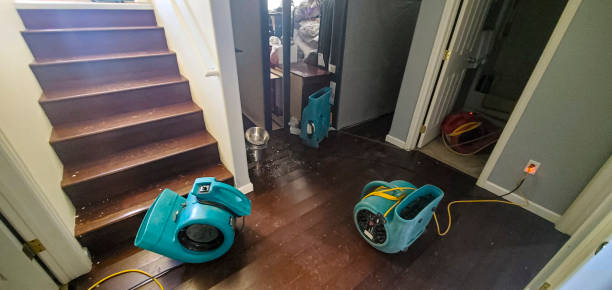 Best Water damage restoration cost  in Aristocrat Ranchettes, CO