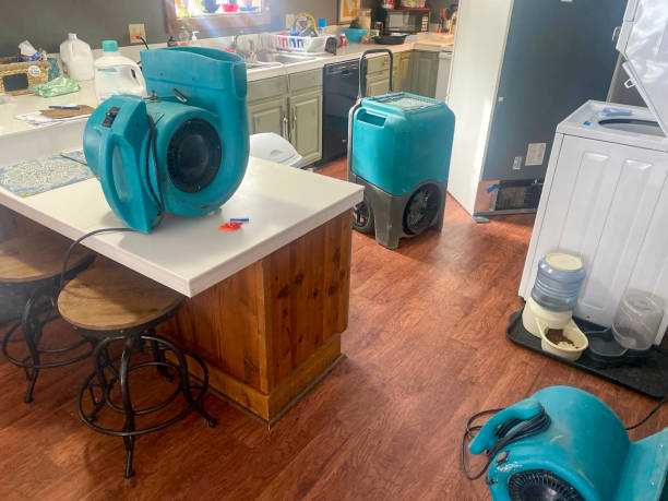 Best 24-hour water damage restoration  in Aristocrat Ranchettes, CO