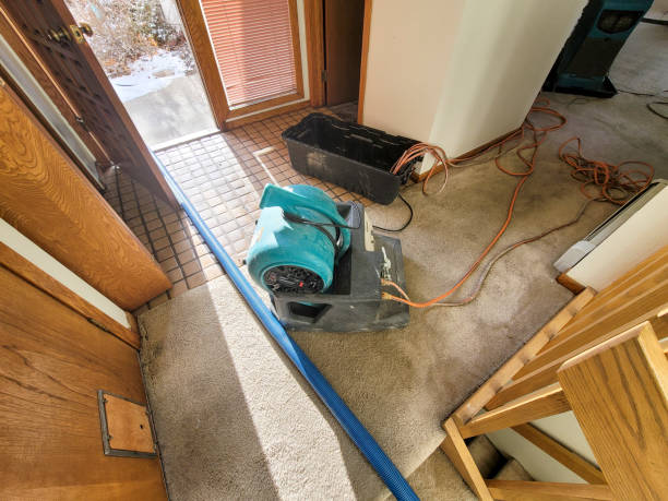 Best Water damage contractors near me  in Aristocrat Ranchettes, CO