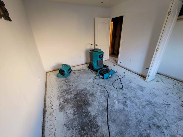 Best Water damage restoration experts  in Aristocrat Ranchettes, CO