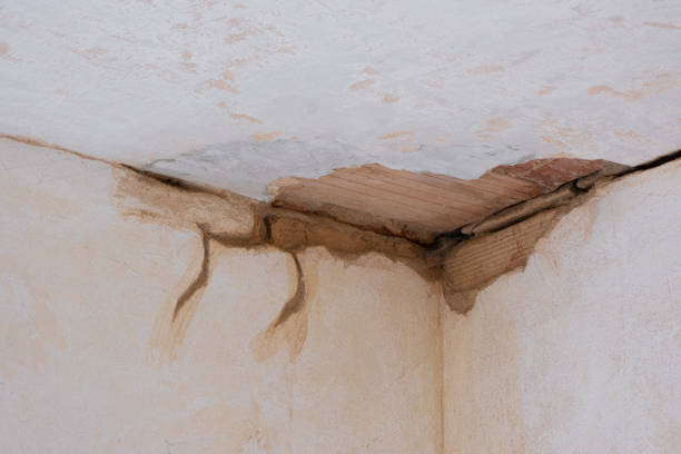Best Carpet water damage restoration  in Aristocrat Ranchettes, CO
