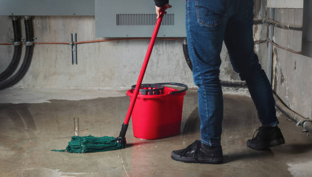 Best Flooded house restoration  in Aristocrat Ranchettes, CO