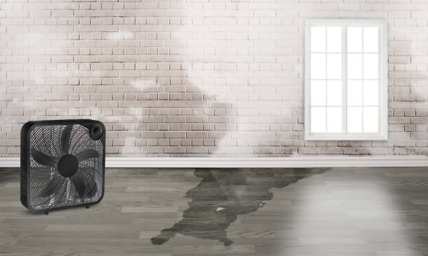 Best Emergency water damage restoration  in Aristocrat Ranchettes, CO