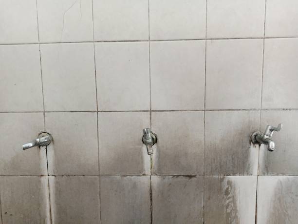 Best 24-hour water damage restoration  in Aristocrat Ranchettes, CO