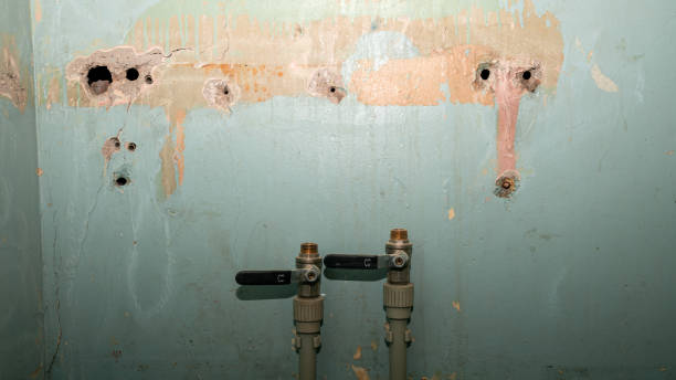Best Ceiling water damage repair  in Aristocrat Ranchettes, CO