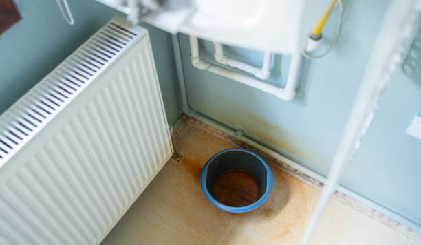 Best Water damage repair service  in Aristocrat Ranchettes, CO