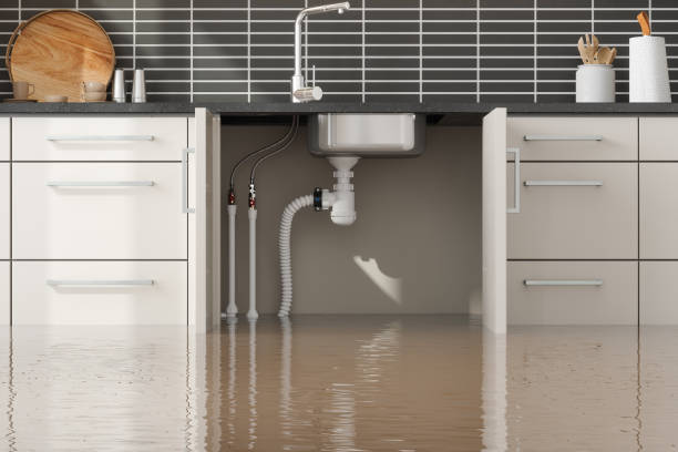 Best Water damage cleanup near me  in Aristocrat Ranchettes, CO