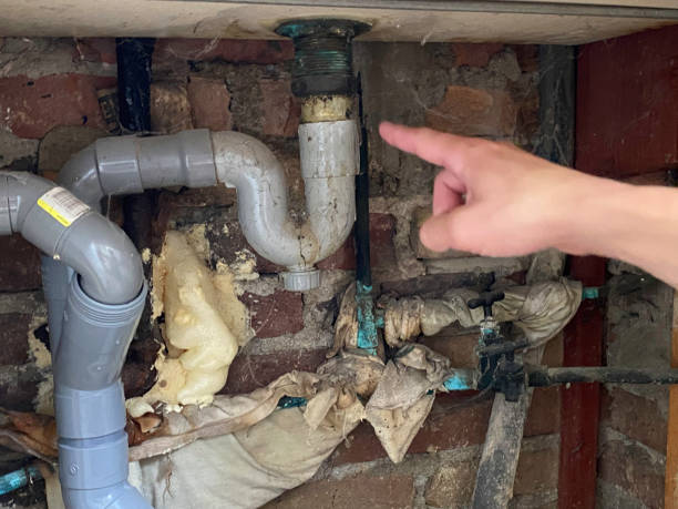 Best Water damage restoration near me  in Aristocrat Ranchettes, CO