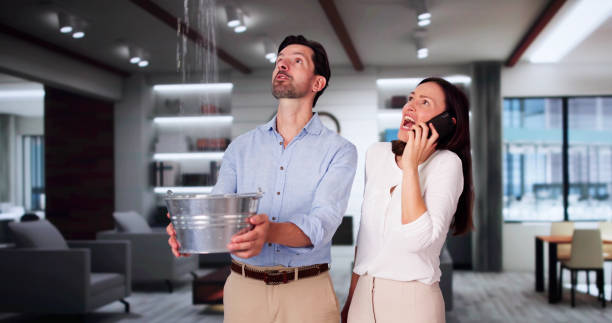 Best Fire Damage Restoration  in Aristocrat Ranchettes, CO