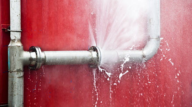 Best Mold removal after water damage  in Aristocrat Ranchettes, CO